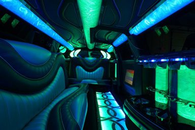 Our limo buses art interior